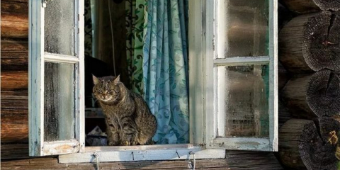 Jak izolovat dřevěná okna: rozpočtové metody a izolační technologie